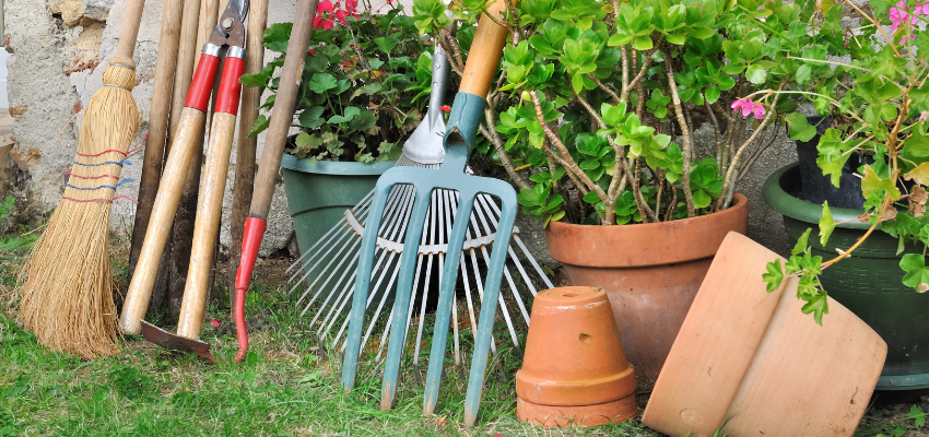 Country Way Landscaping — Dubai’s Most Trusted Garden Maintenance & Landscaping Experts