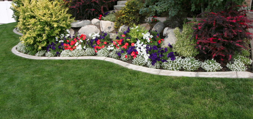 Transforming Spaces, One Green Vision at a Time: Our Story at Mardan Landscape & Gardening Works L.L.C